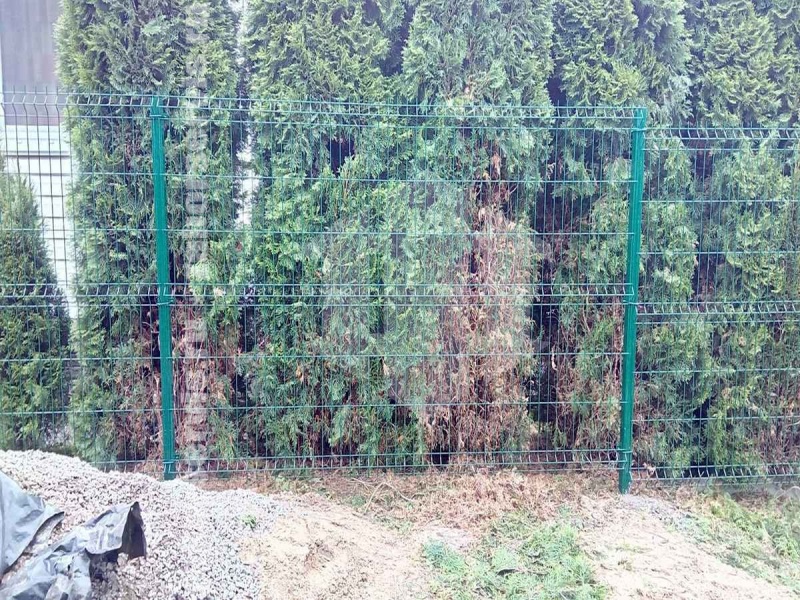 3D забор 98 метров зелёный 5мм